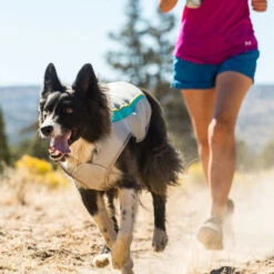 Ruffwear Swamp Cooler 19 Ruffwear Swamp Cooler -Heimtierbedarf Angebote ruffwear swamp cooler 124703 0500 none