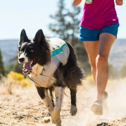 Ruffwear Swamp Cooler 8 Ruffwear Swamp Cooler - Image 8