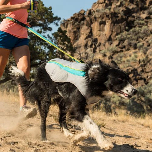 Ruffwear Swamp Cooler 2 Ruffwear Swamp Cooler - Image 2