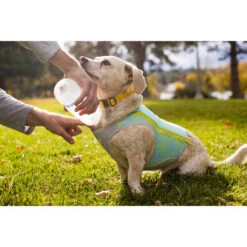 Ruffwear Swamp Cooler Zip -Heimtierbedarf Angebote ruffwear swamp cooler zip vest 196304 0500 none