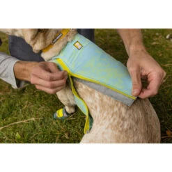 Ruffwear Swamp Cooler Zip -Heimtierbedarf Angebote ruffwear swamp cooler zip vest 196307 0500 none