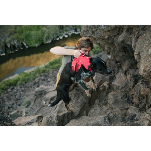 Ruffwear Webmaster Harness 18 Ruffwear Webmaster Harness - Image 18