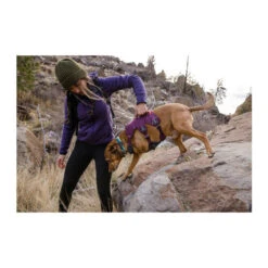 Ruffwear Webmaster Harness 28 Ruffwear Webmaster Harness -Heimtierbedarf Angebote ruffwear webmaster harness 217109 0500 none