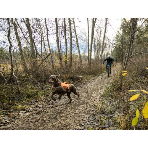 Ruffwear Webmaster Harness 13 Ruffwear Webmaster Harness - Image 13