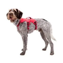 Ruffwear Webmaster Harness 36 Ruffwear Webmaster Harness -Heimtierbedarf Angebote ruffwear webmaster harness 88447 0500 none