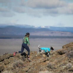 Ruffwear Wind Sprinter Jacket -Heimtierbedarf Angebote ruffwear wind sprinter jacket 124694 0500 none