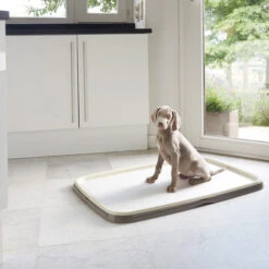 Savic Puppy Trainer + Pads -Heimtierbedarf Angebote savic puppy trainer pads 163498 0500 none