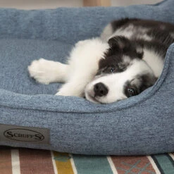 Scruffs Manhattan Box Bett -Heimtierbedarf Angebote scruffs manhattan box bed 209510 0500 none