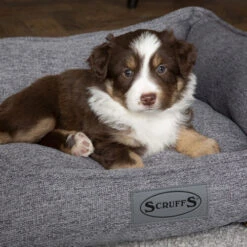 Scruffs Manhattan Box Bett -Heimtierbedarf Angebote scruffs manhattan box bed 209513 0500 none