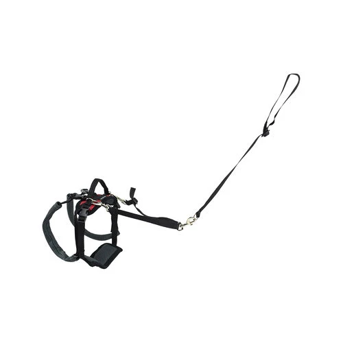 PetSafe Carelift - Tragesystem / Tragegeschirr Für Hunde 5 PetSafe Carelift - Tragesystem / Tragegeschirr Für Hunde - Image 5