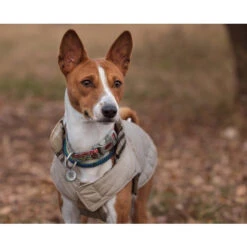 Spotted! Pro Dog & Cat -Heimtierbedarf Angebote spotted pro dog cat 166918 0500 none