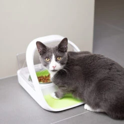 Surefeed Connect Mikrochip-Futterautomat -Heimtierbedarf Angebote surefeed microchip voerbak connect 221217 0500 none