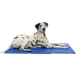 Trixie Kühlmatte 5 Trixie Kühlmatte -Heimtierbedarf Angebote trixie cooling mat 209390 0500 none