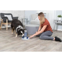 Trixie Dog Activity Gambling Tower 12 Trixie Dog Activity Gambling Tower -Heimtierbedarf Angebote trixie dog activity gambling tower 179852 0500 none