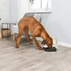 Trixie Doppel-Futterautomat TX2 5 Trixie Doppel-Futterautomat TX2 -Heimtierbedarf Angebote trixie dubbele voederautomaat tx2 170914 0500 none