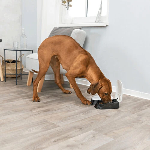 Trixie Doppel-Futterautomat TX2 3 Trixie Doppel-Futterautomat TX2 - Image 3