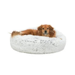 Trixie Kissen Harvey -Heimtierbedarf Angebote trixie kussen harvey 170536 0500 none