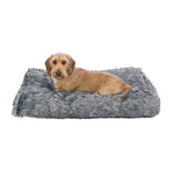 Trixie Kissen Yelina -Heimtierbedarf Angebote trixie kussen yelina 216146 0500 none