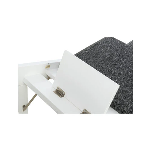 Trixie Rampe 3 Trixie Rampe - Image 3