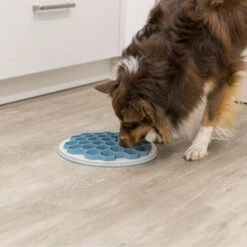 Trixie Slow Feeding Futterplatte Hive -Heimtierbedarf Angebote trixie slow feeding voederbak bijenkorf 205454 0500 none