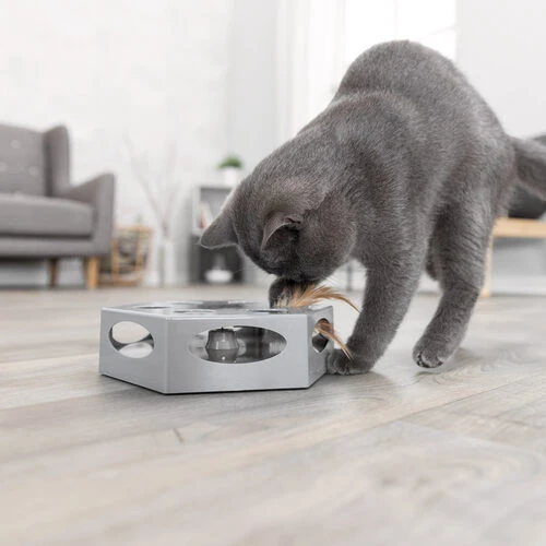 Trixie Turning Feather 3 Trixie Turning Feather - Image 3