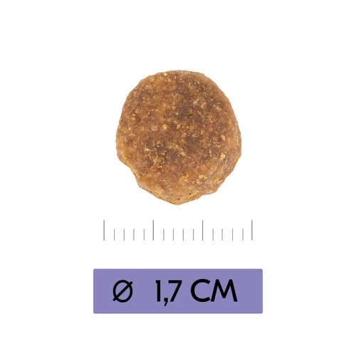 Vetality Adult Maxi - Hundefutter 4 Vetality Adult Maxi - Hundefutter - Image 4