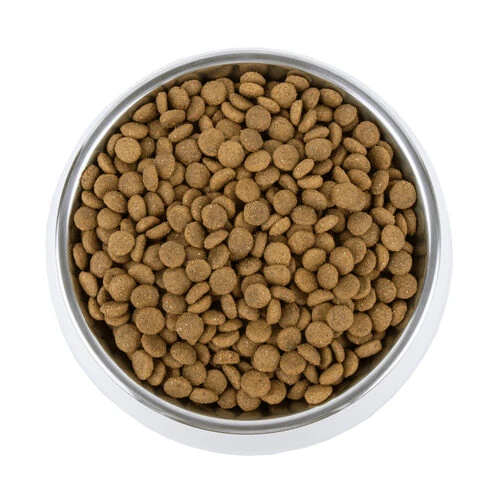 Vetality Gastrointestinal - Hundefutter 4 Vetality Gastrointestinal - Hundefutter - Image 4
