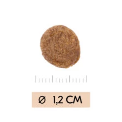 Vetality Gastrointestinal - Hundefutter 6 Vetality Gastrointestinal - Hundefutter -Heimtierbedarf Angebote vetality gastrointestinal hondenvoer 195449 0500 none