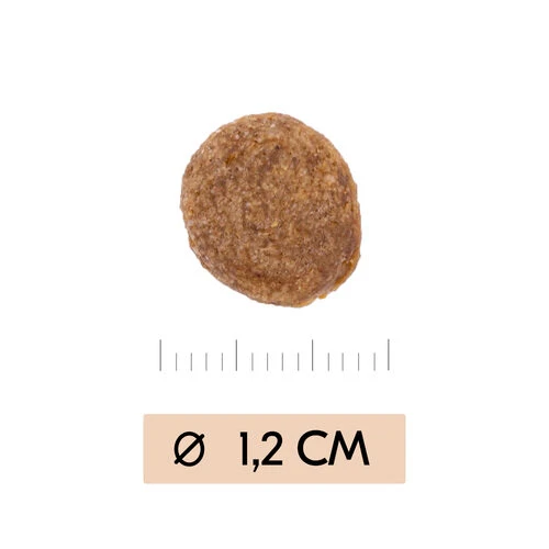 Vetality Gastrointestinal - Hundefutter 3 Vetality Gastrointestinal - Hundefutter - Image 3