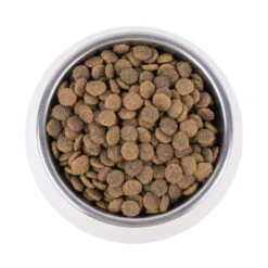 Vetality Urinary - Katzenfutter 7 Vetality Urinary - Katzenfutter -Heimtierbedarf Angebote vetality urinary kattenvoer 195269 0500 none