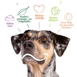 Yarrah - Bio Trockenfutter Vega Getreidefrei 7 Yarrah - Bio Trockenfutter Vega Getreidefrei -Heimtierbedarf Angebote yarrah bio droogvoer hond vega graanvrij 201212 0500 none