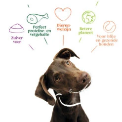 Yarrah - Getreidefreies Trockenfutter Bio -Heimtierbedarf Angebote yarrah droogvoer hond graanvrij bio 201170 0500 none