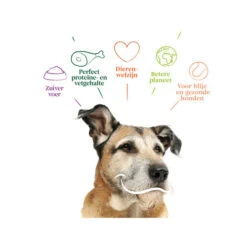 Yarrah - Trockenfutter Senior Mit Huhn, Fisch Und Kräutern Bio -Heimtierbedarf Angebote yarrah droogvoer hond senior bio 201146 0500 none