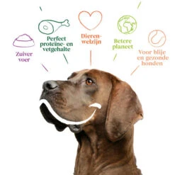 Yarrah - Trockenfutter Sensitiv Mit Huhn Und Reis Bio -Heimtierbedarf Angebote yarrah droogvoer hond sensitive bio 199148 0500 none