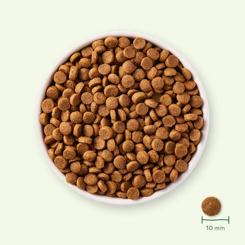 Yarrah - Trockenfutter Für Welpen Mit Huhn Bio 3 Yarrah - Trockenfutter Für Welpen Mit Huhn Bio - Image 3