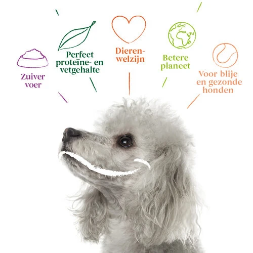 Yarrah - Vegetarische Bröckchen Mit Cranberry Bio 5 Yarrah - Vegetarische Bröckchen Mit Cranberry Bio - Image 5