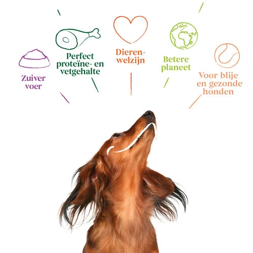 Yarrah - Hundefutter In Soße Huhn Mit Aloe Vera Bio - Image 5