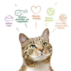 Yarrah - Katzenfutter Paté Rind Mit Chicorée Bio -Heimtierbedarf Angebote yarrah pat kat kuipje met rund bio 201059 0500 none