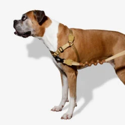 Zee.Dog Soft Walk Harness -Heimtierbedarf Angebote zeedog soft walk harness 200678 0500 none