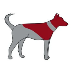 ZenPet Pro Collar 12 ZenPet Pro Collar -Heimtierbedarf Angebote zenpet pro collar 193865 0500 none