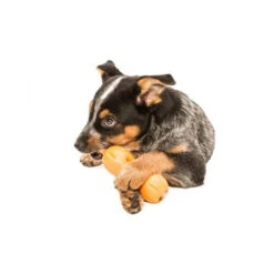 Zogoflex Qwizl -Heimtierbedarf Angebote zogoflex qwizl 136852 0500 none