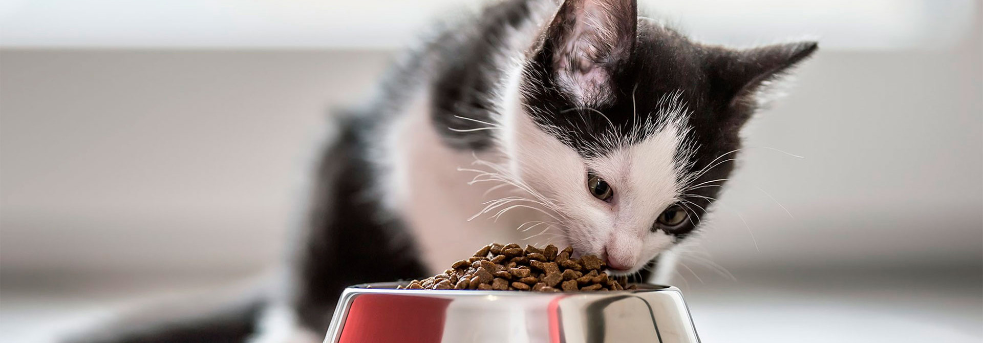 Heimtierbedarf Angebote -Heimtierbedarf Angebote 2